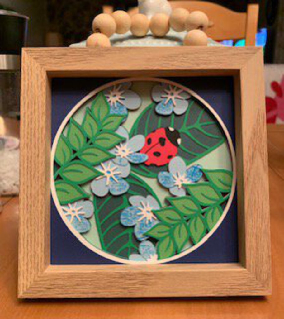 Ladybug Shadowbox