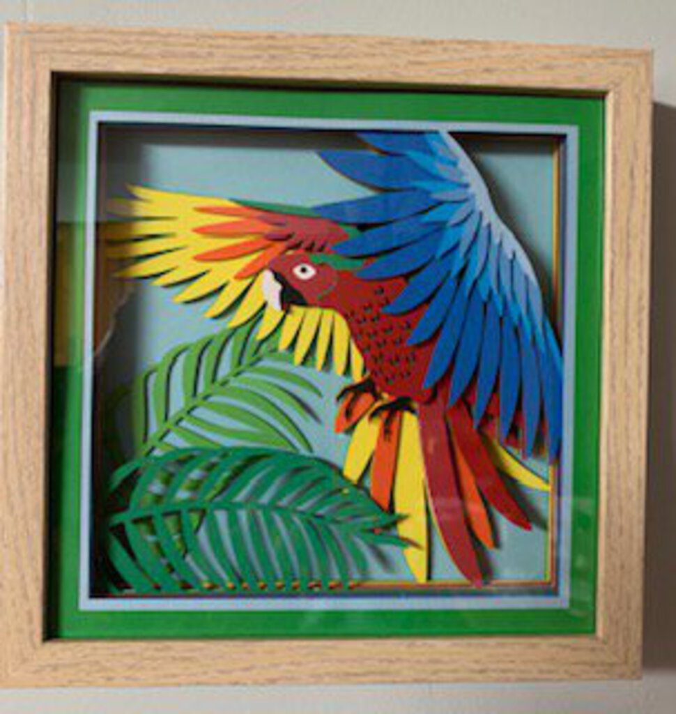 Parrot Shadowbox