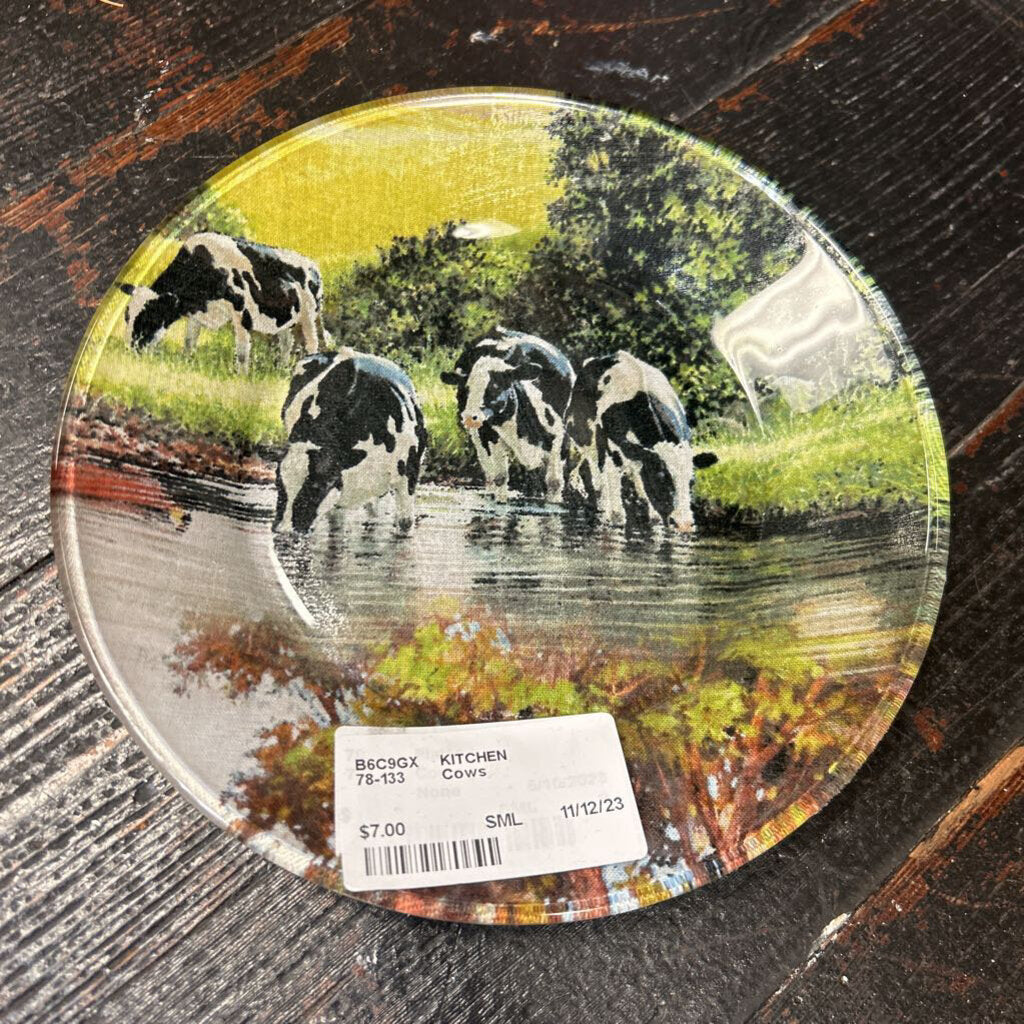 Cows