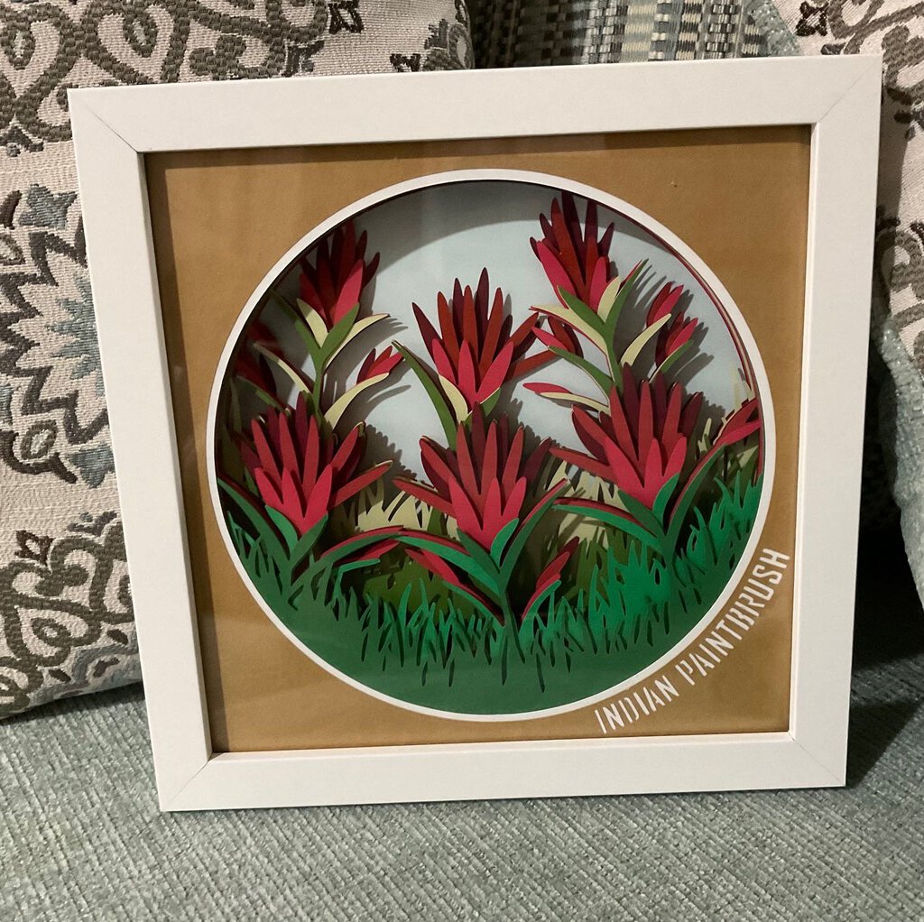 Indian Paintbrush Flower Shadowbox