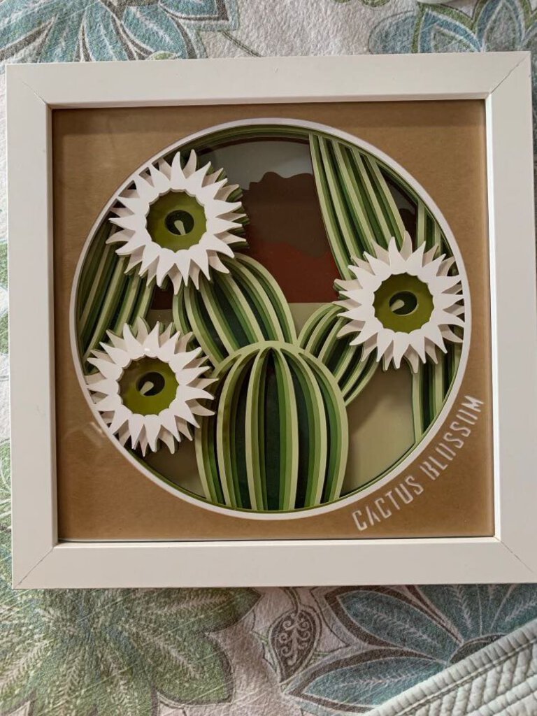 Cactus Blossom Shadowbox