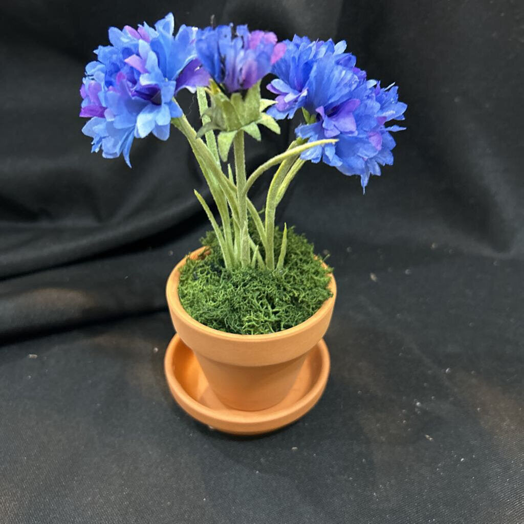 WS01 small pot with purple flowers