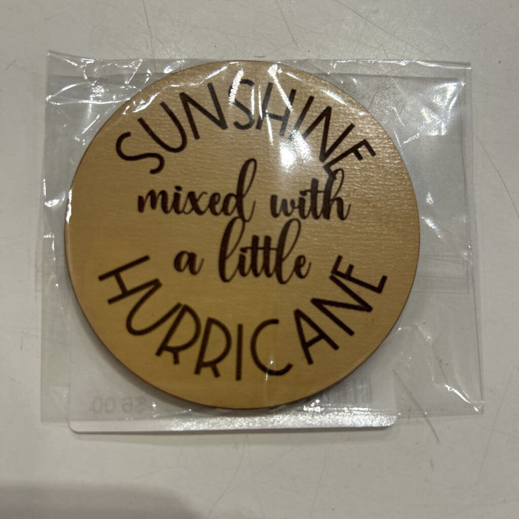 Magnet-Sunshine Hurricanes