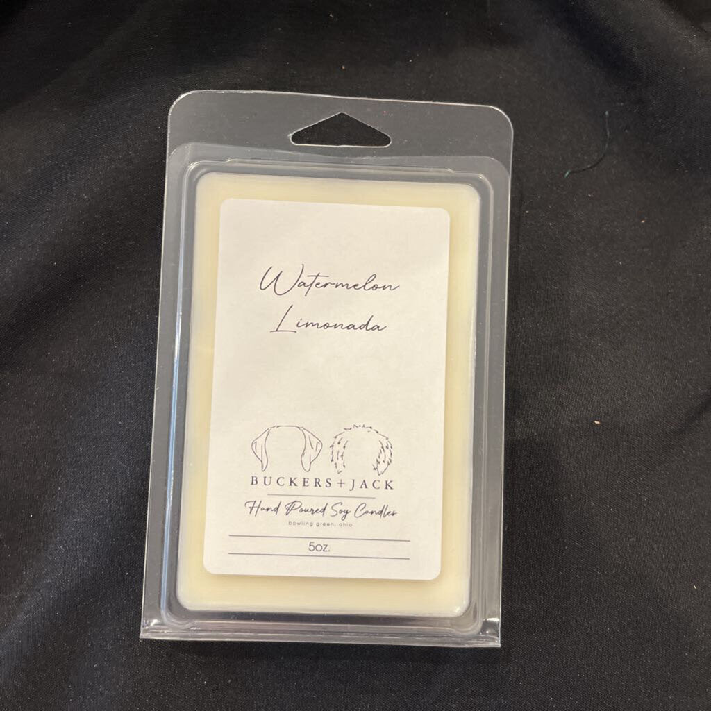 Watermelon Limonada Wax Melt