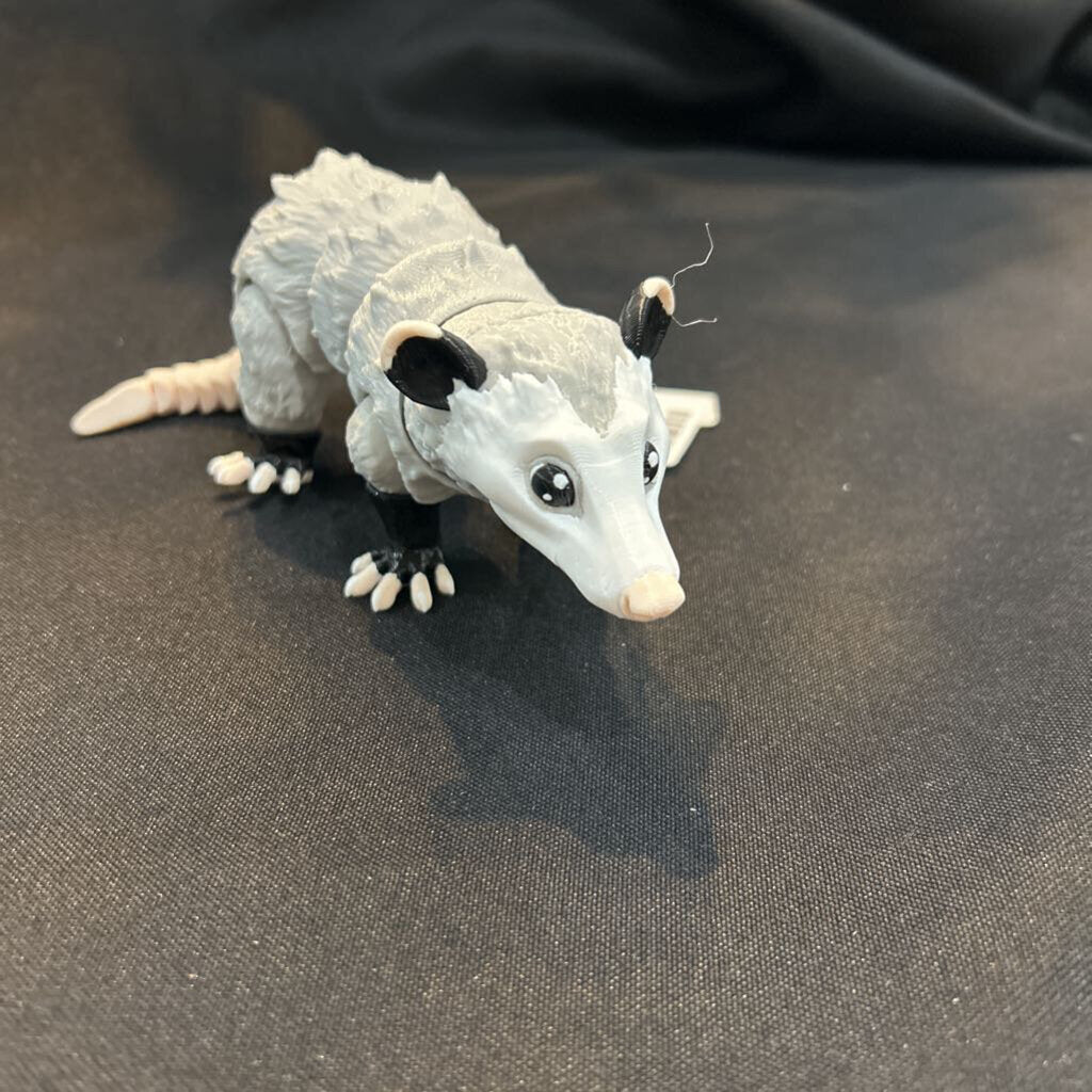 3D Opossum