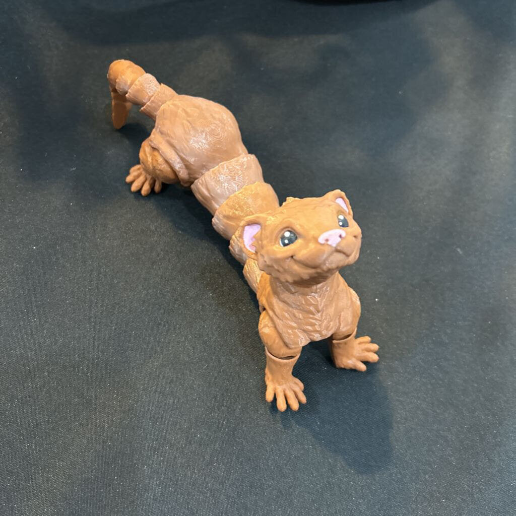 3D Ferret