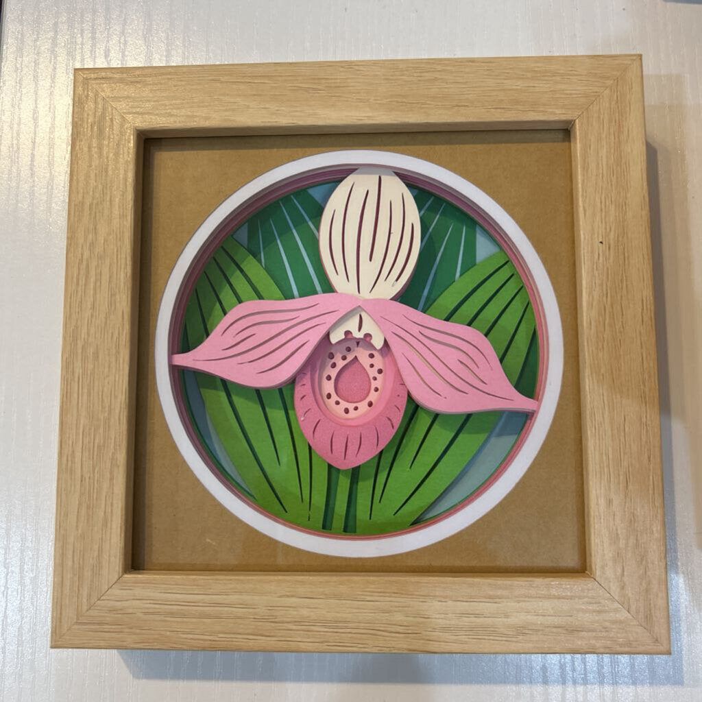 Framed Lady Slipper Shadowbox