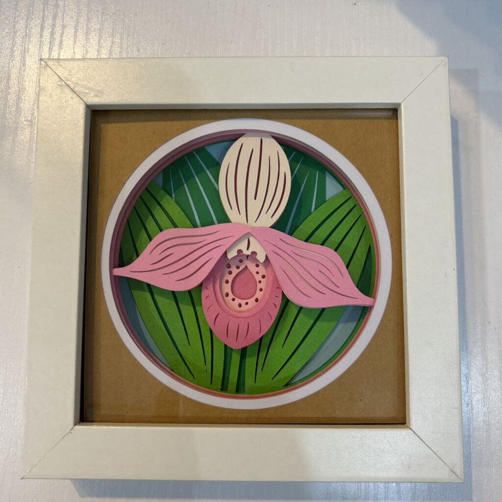 Framed Lady Slipper Shadowbox