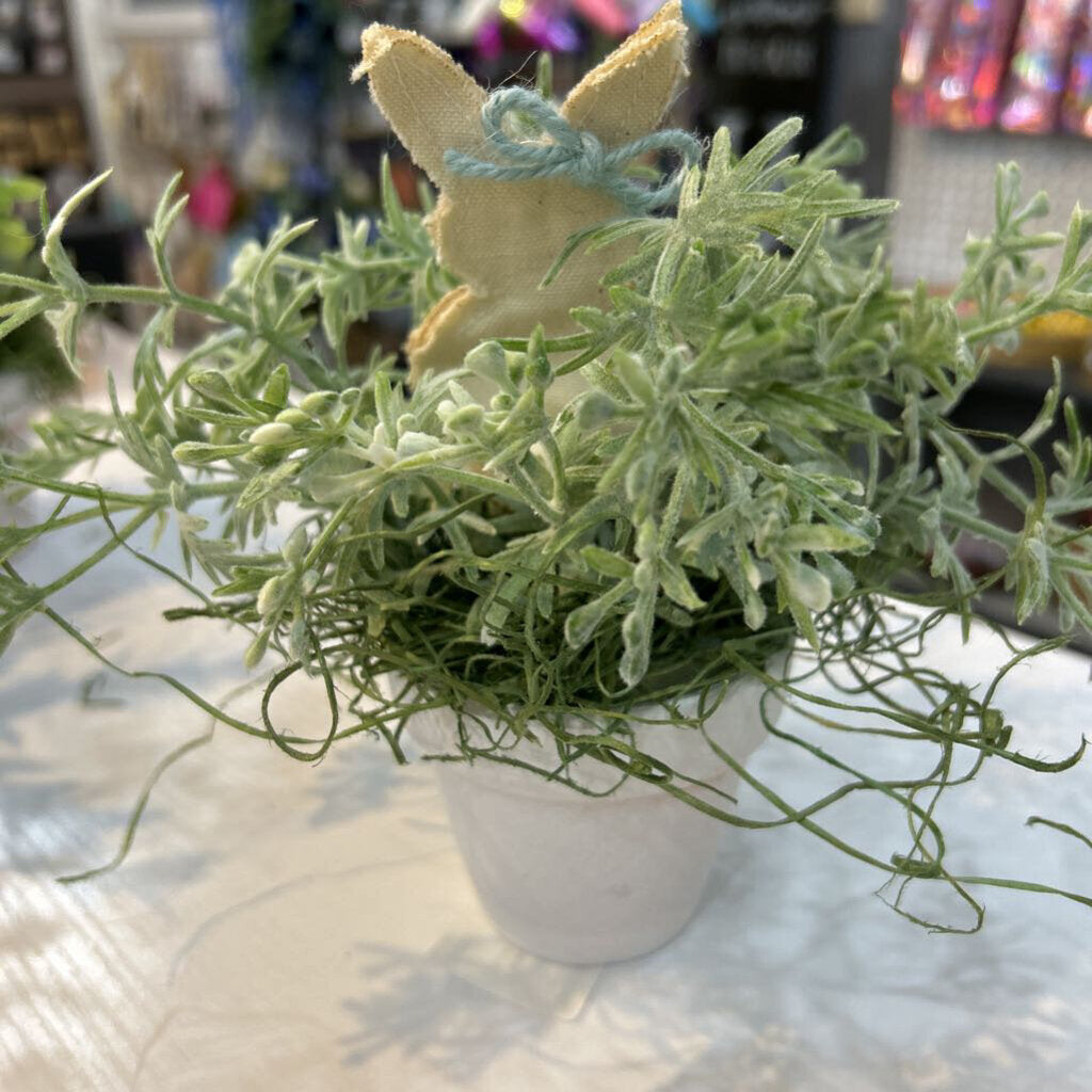 3" Floral w/bunny white pot