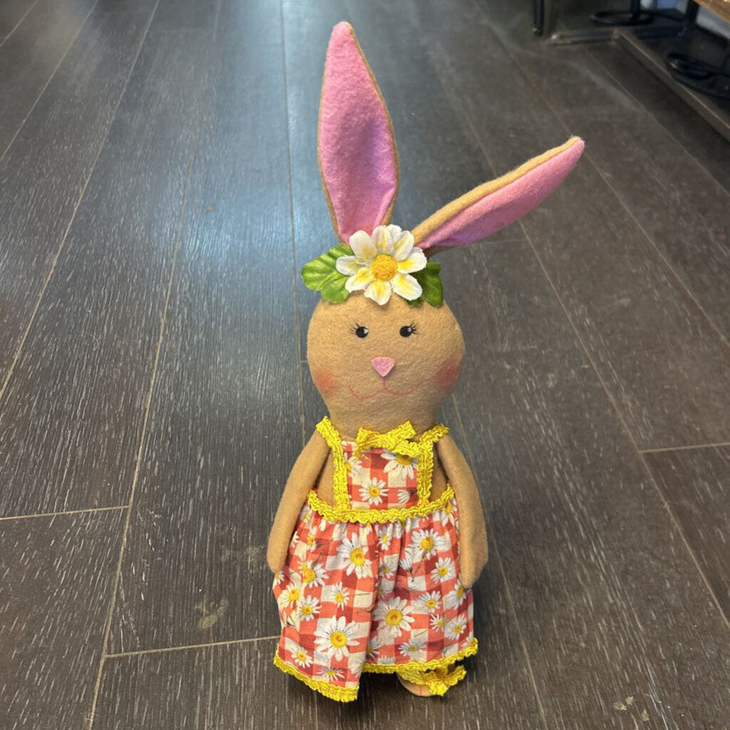 Brown Bunny w/Daisy Dress