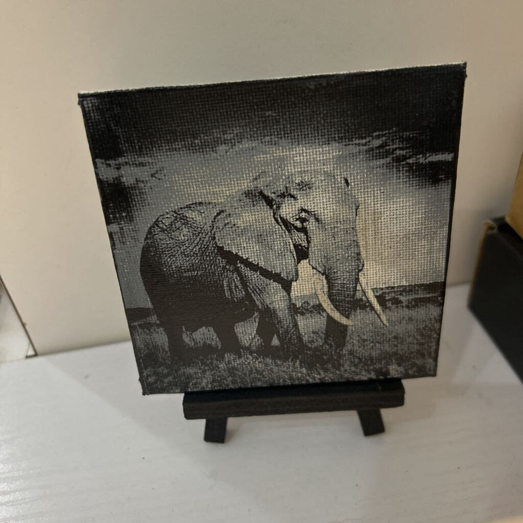 Elephant Painted Canvas w/Easel