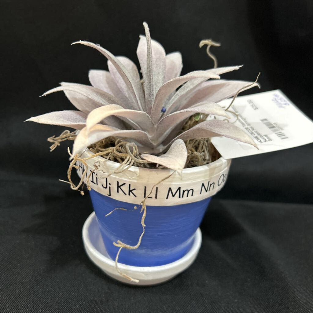 Teacher ABC Succulent Pot Arrangment #111112