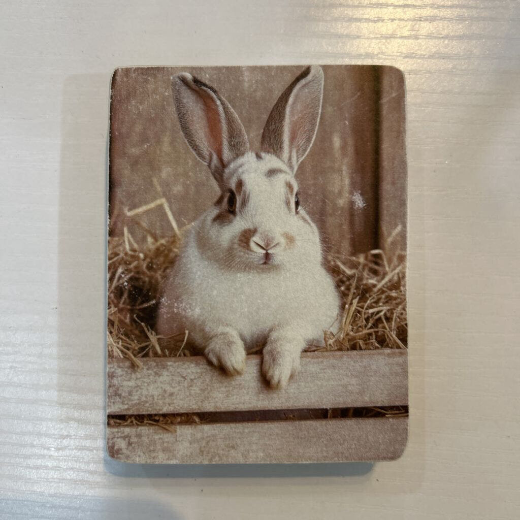 Rabbit Sm Block