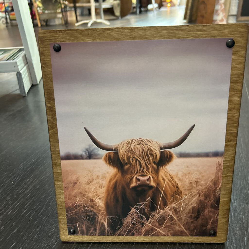 Highland Cow Field 9x11