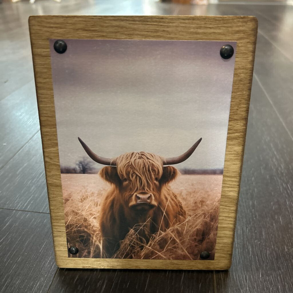Highland Cow Field 6x9