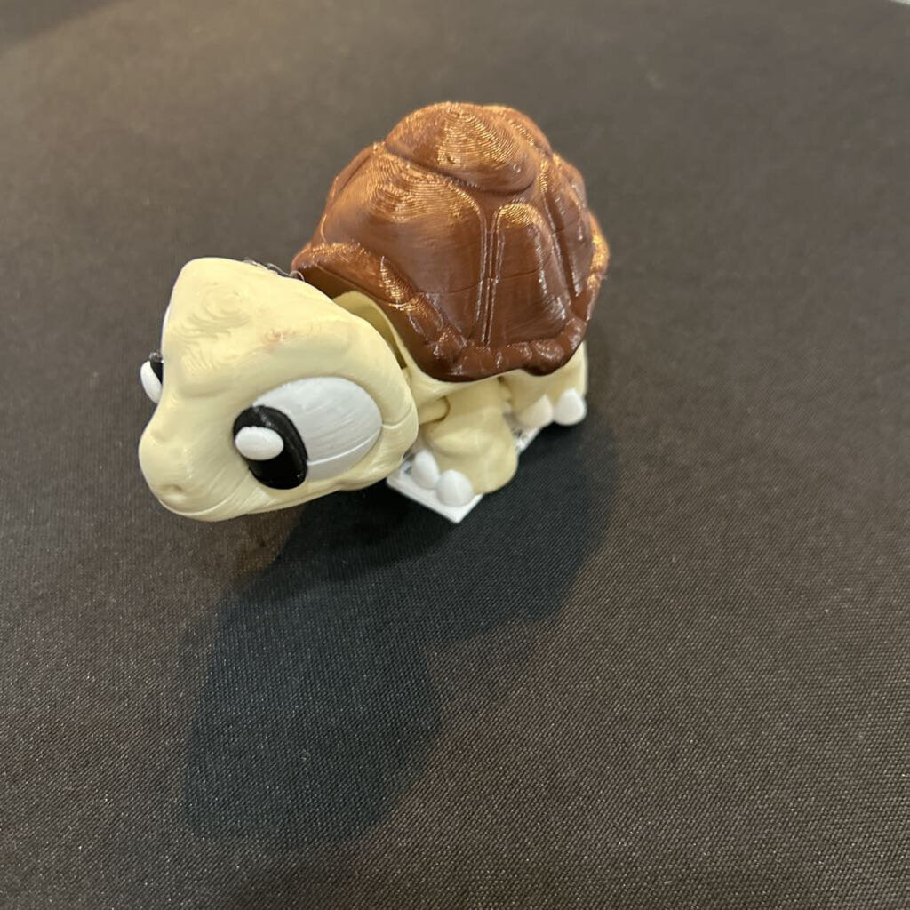 3D Tortoise