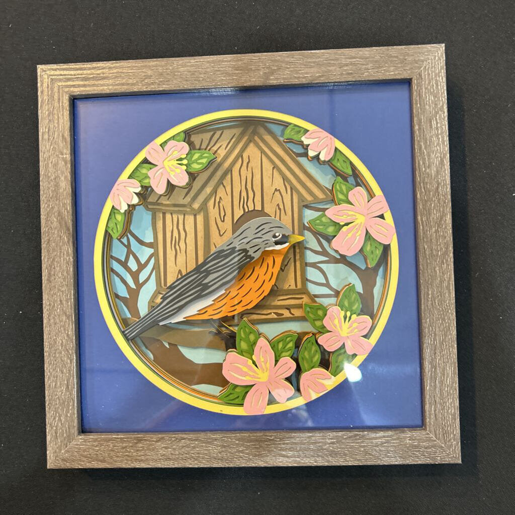 Br Robin with House Shadowbox