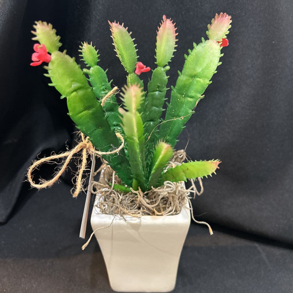 Cactus White Ceramic Pot F2