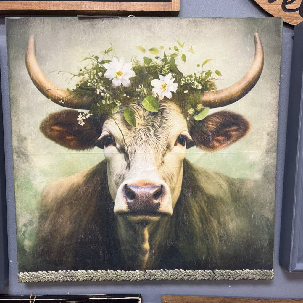 Large Highland Cow Picture