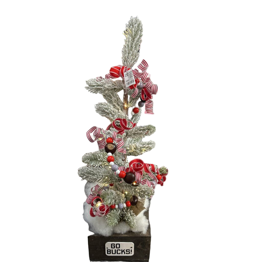 Light Up OSU Tree-Stain Box-Go Bucks Football