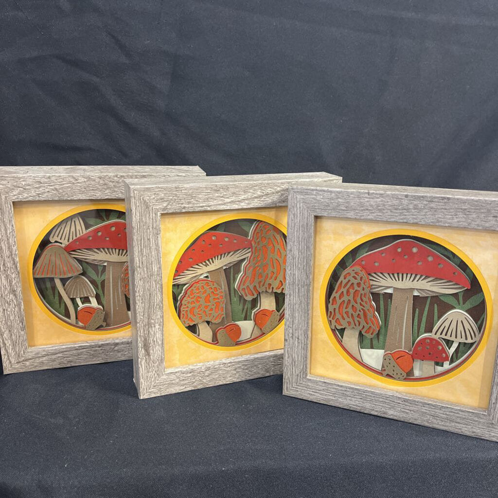 5x5 Mushroom Set