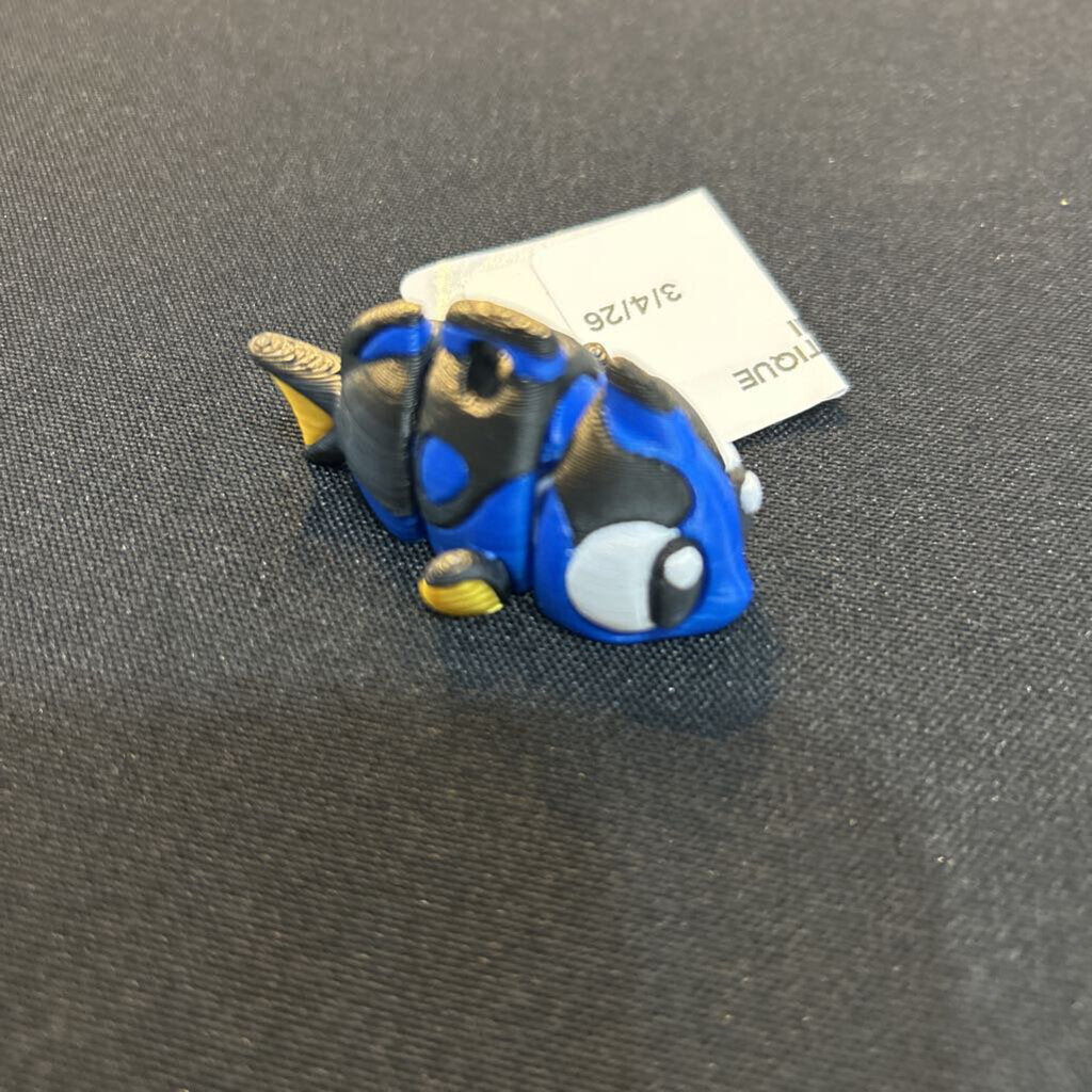 Dory Small