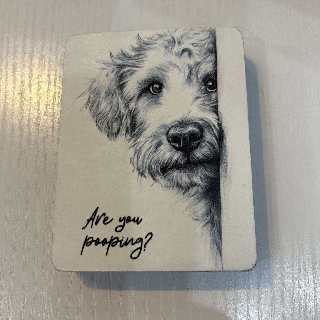 Doodle Pooping