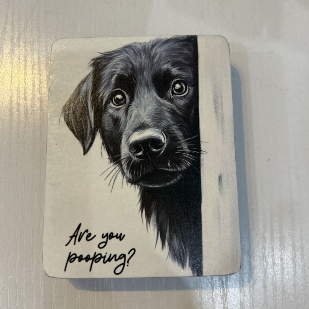 Black Lab Pooping