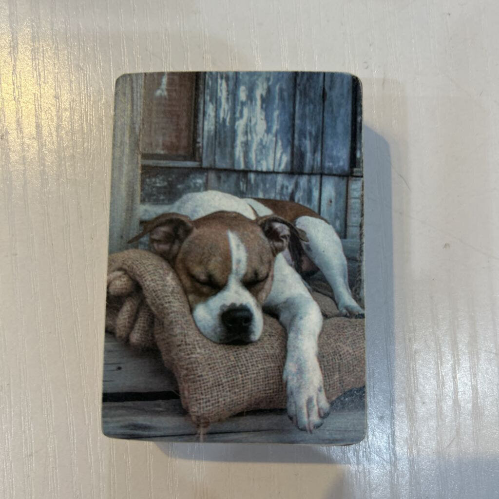 Dog