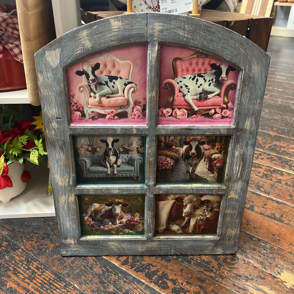 6 Window, cow college