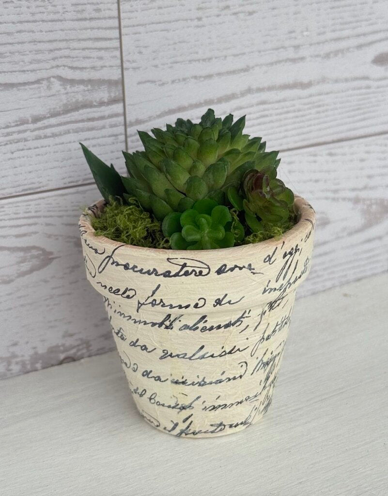 Forest Moss Vintage Script Faux Succulent Planter