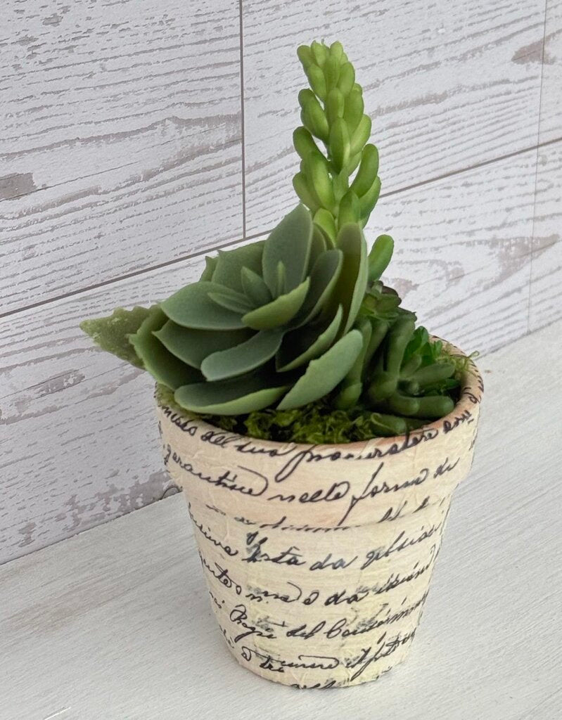 Sage Bloom Vintage Script Faux Succulent Planter