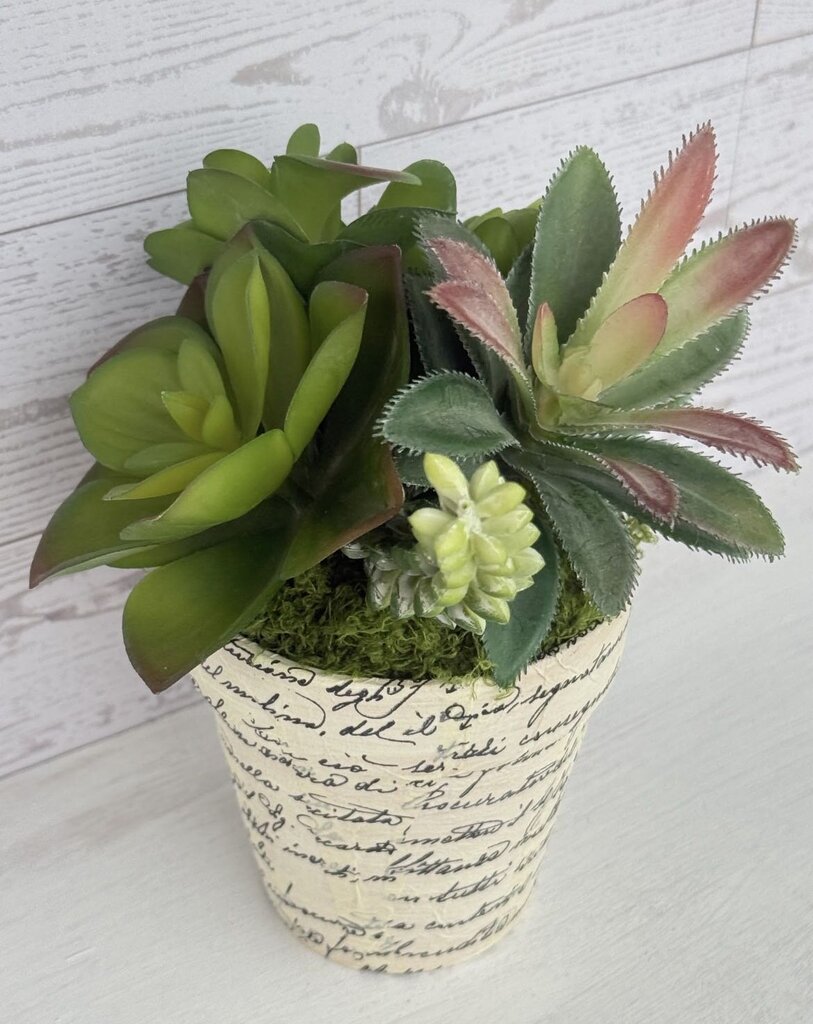Ember Moss Vintage Script Faux Succulent Planter