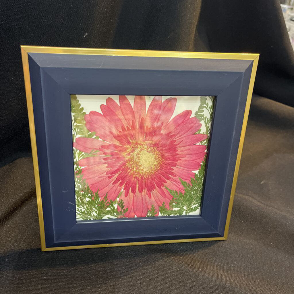 Navy Square Frame with Pressed Pink Flower