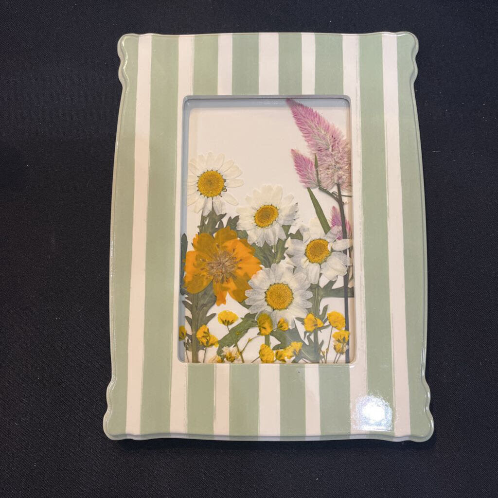Pressed Daisies (green & white striped frame)