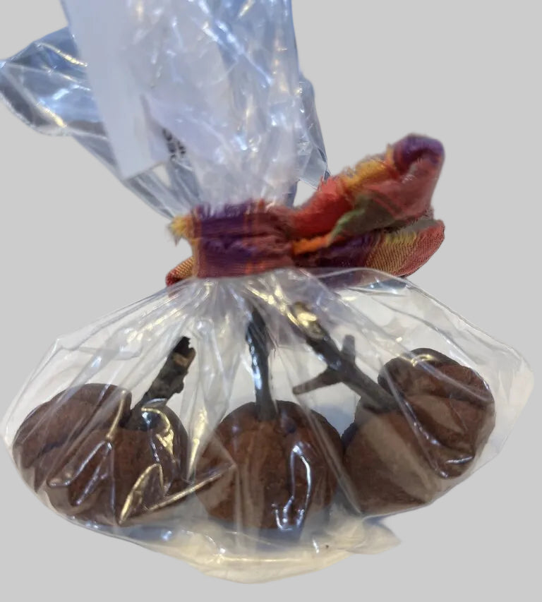 cinnamon pumpkin bags