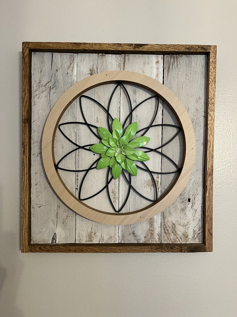 Green Succulent Round