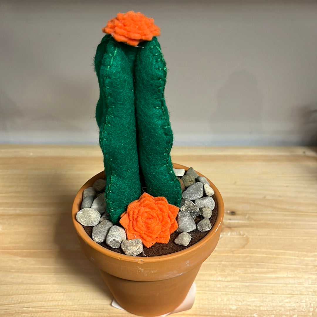 Potted Felt Cactus