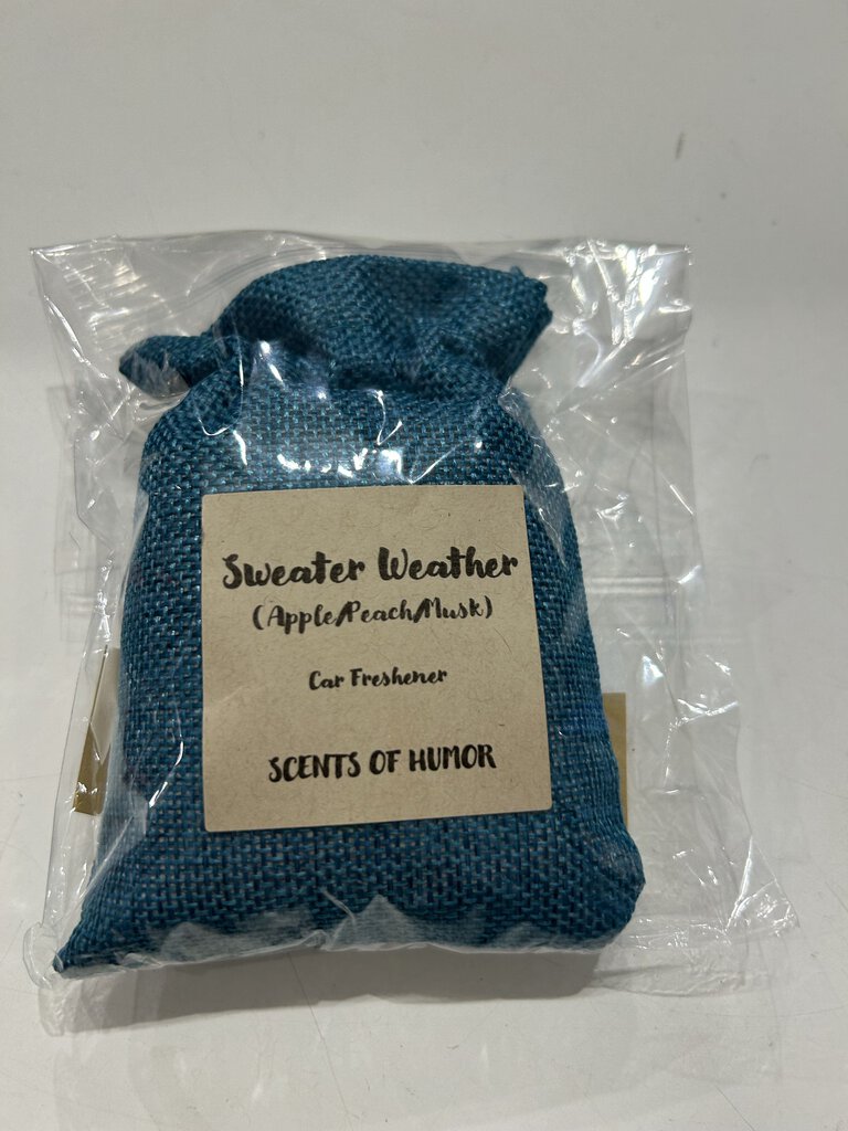 Sweater Weather Car Freshener Teal pouch