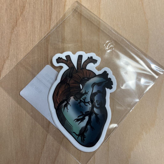 Anatomical Heart