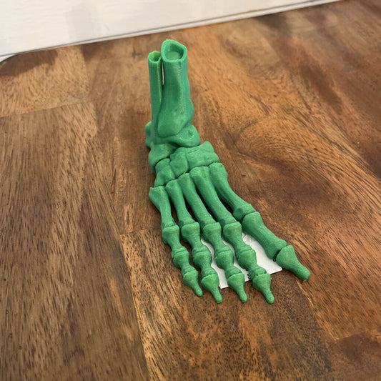 Skeleton Foot