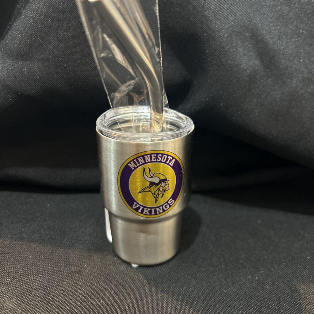 Minnesota Vikings mini