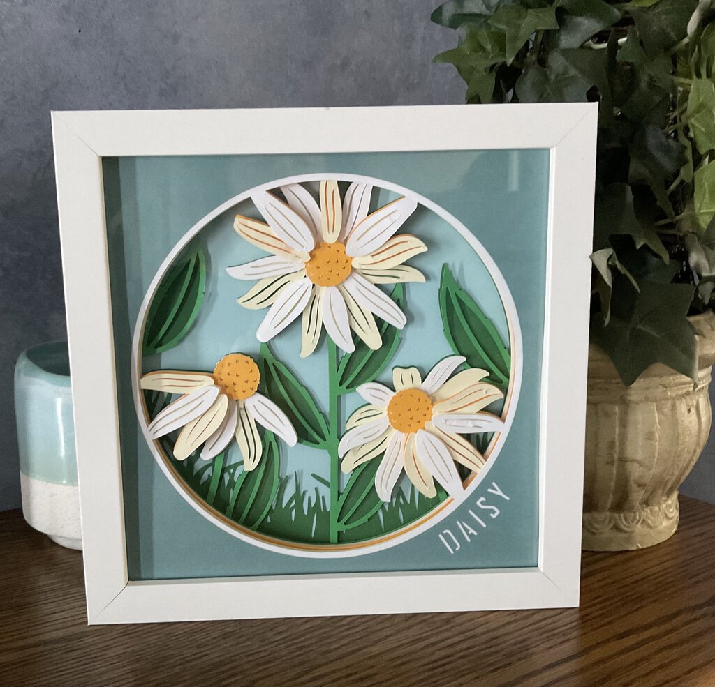 Daisy Shadowbox