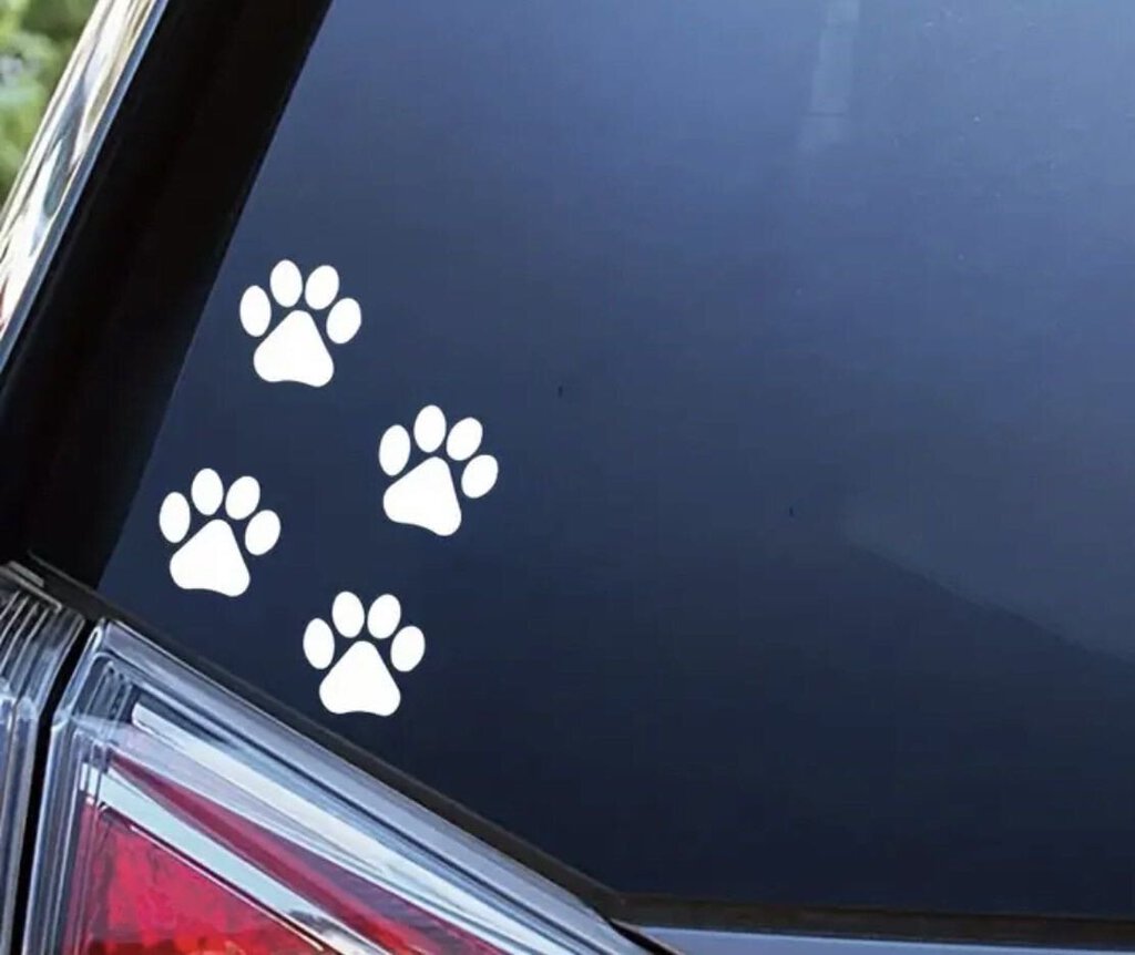 Paw Prints