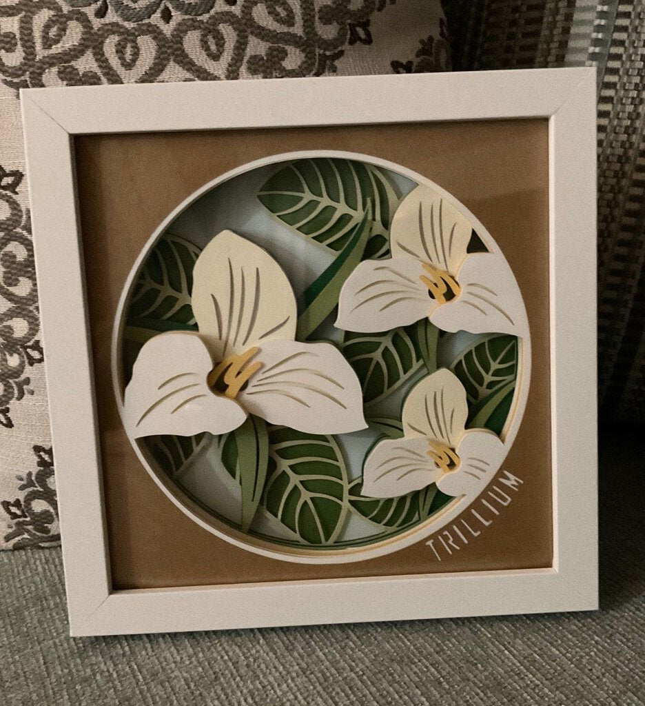 Trillium Flower Shadowbox