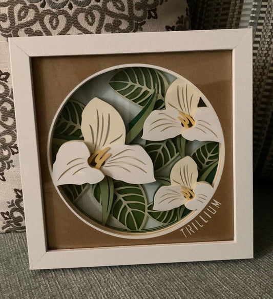 Trillium Flower Shadowbox