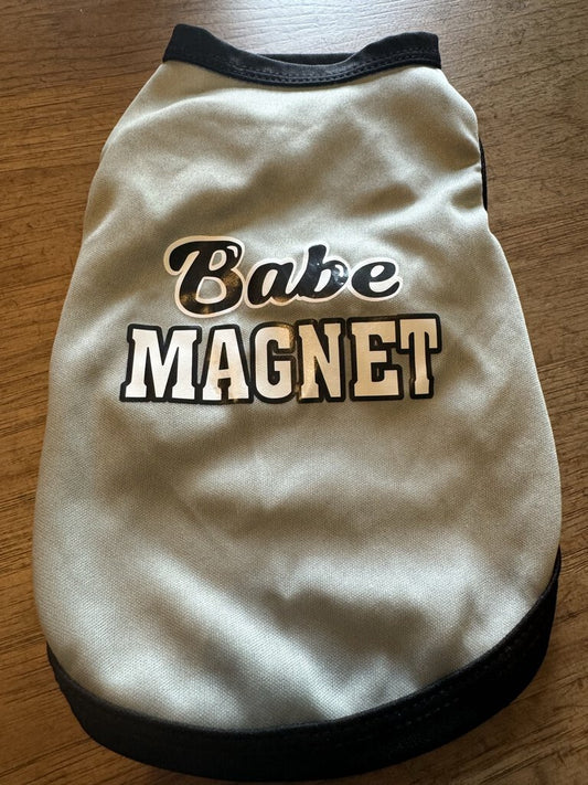 Babe Magnet