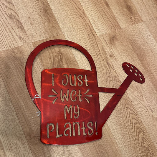 Metal Wet my Plants NO Stake