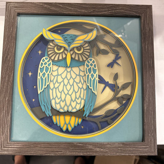 Owl at Night