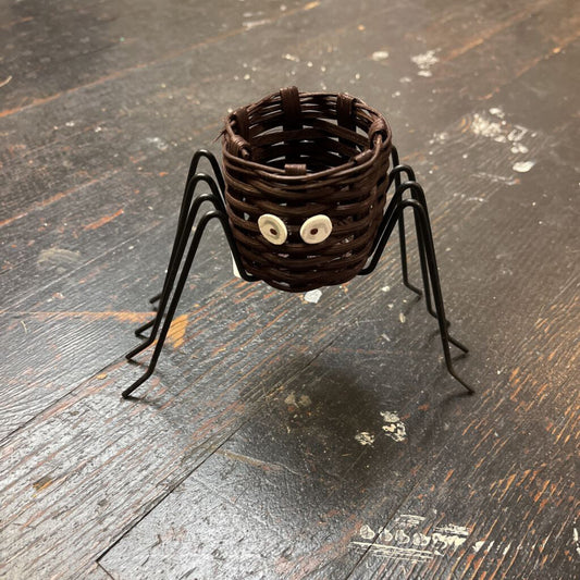 Small Scary Spider